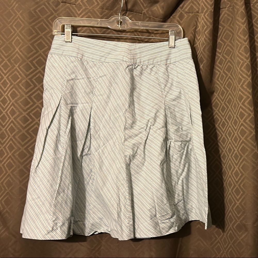 Striped Skirt